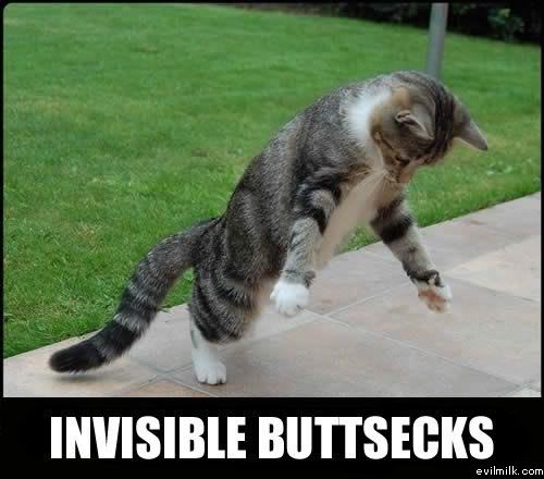 Name:  Invisible_buttsecks.jpg
Views: 23401
Size:  35.0 KB