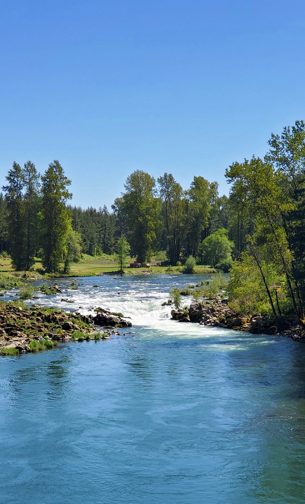 Name:  South Santiam.jpg
Views: 4676
Size:  236.3 KB