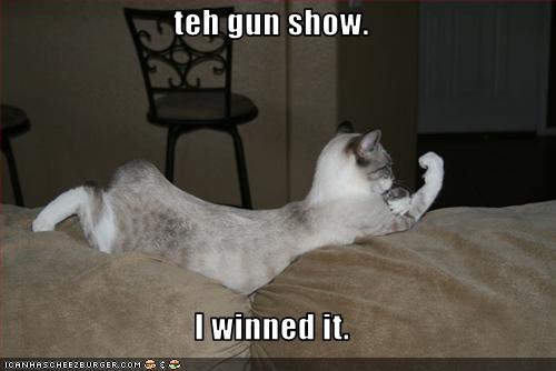 Name:  funny-pictures-cat-won-gun-show.jpg
Views: 3366
Size:  20.7 KB