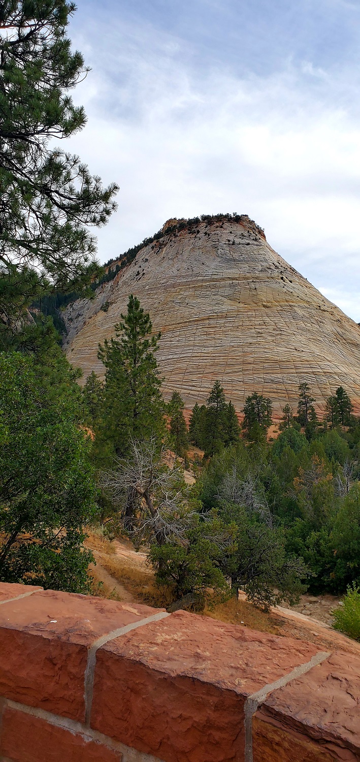 Name:  Checkerboard Mesa, Zion National Park.jpg
Views: 11112
Size:  545.9 KB