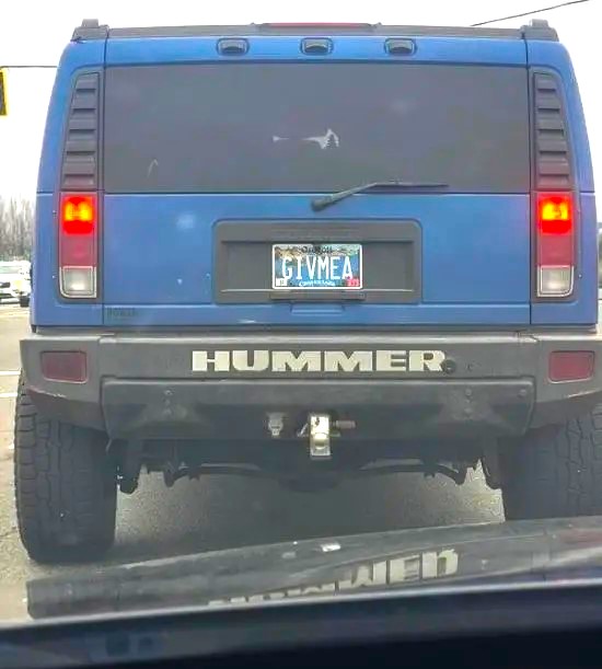 Name:  Hummer..jpg
Views: 517
Size:  54.6 KB