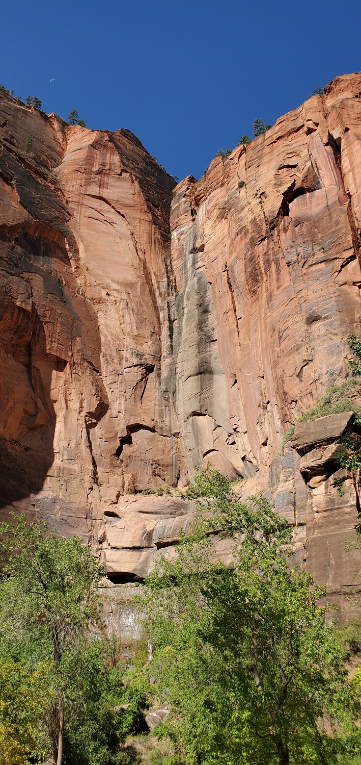 Name:  Dry Waterfall at Zion NP (3).jpg
Views: 11039
Size:  639.9 KB