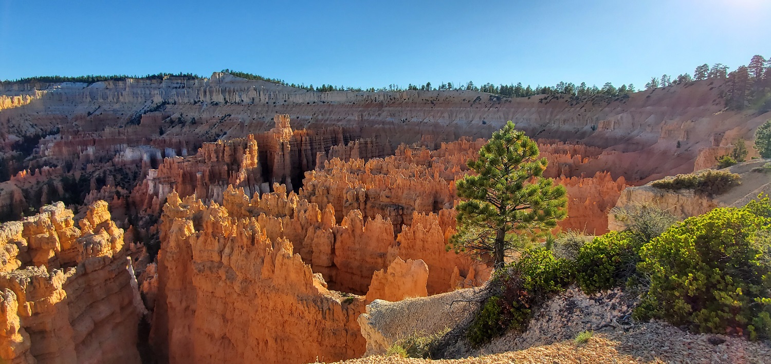 Name:  Bryce Canyon NP(4).jpg
Views: 12248
Size:  478.3 KB