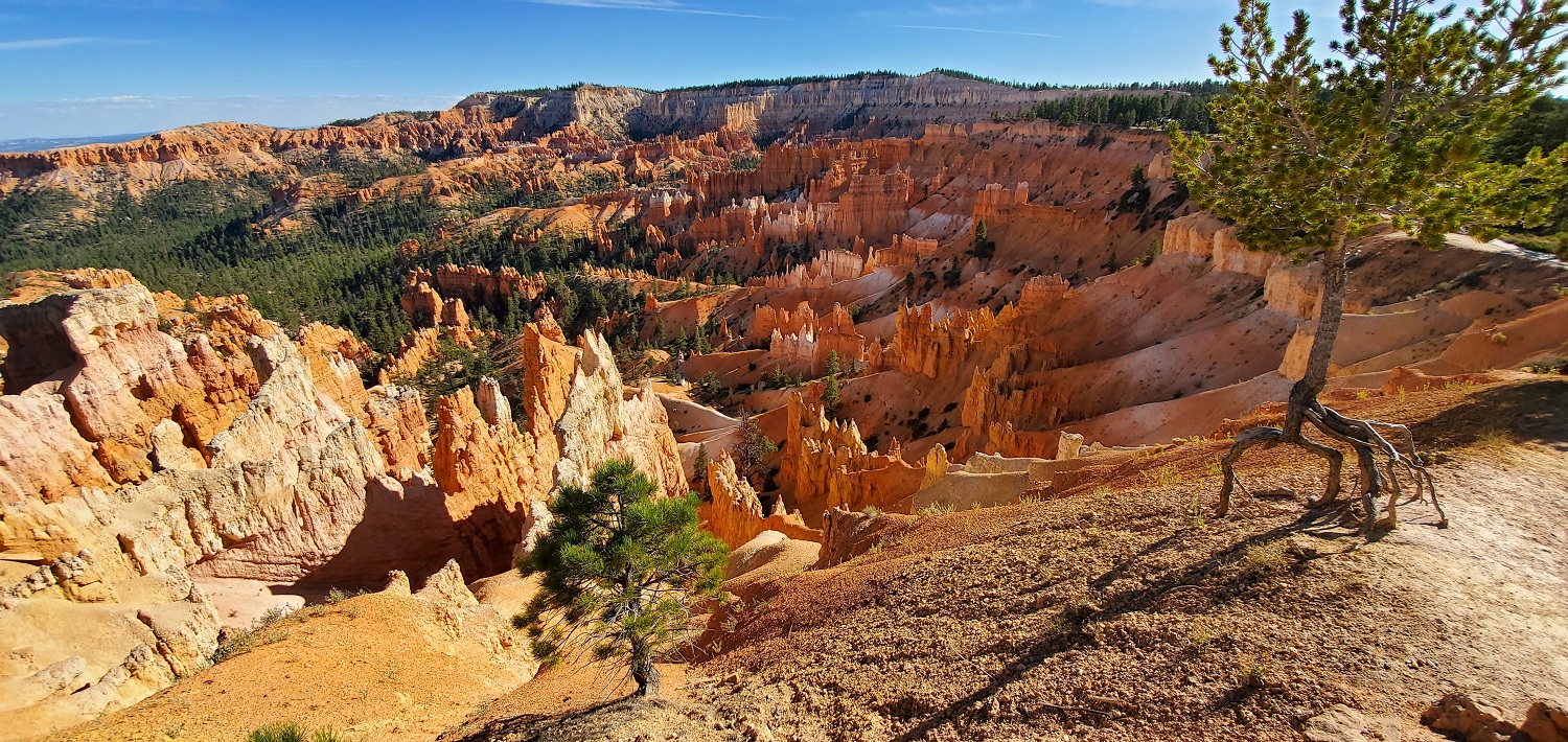 Name:  Bryce Canyon National Park (1).jpg
Views: 12434
Size:  718.4 KB