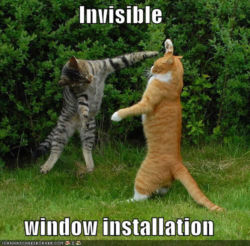 Name:  Cat-install-invisible-windows.jpg
Views: 3383
Size:  67.1 KB