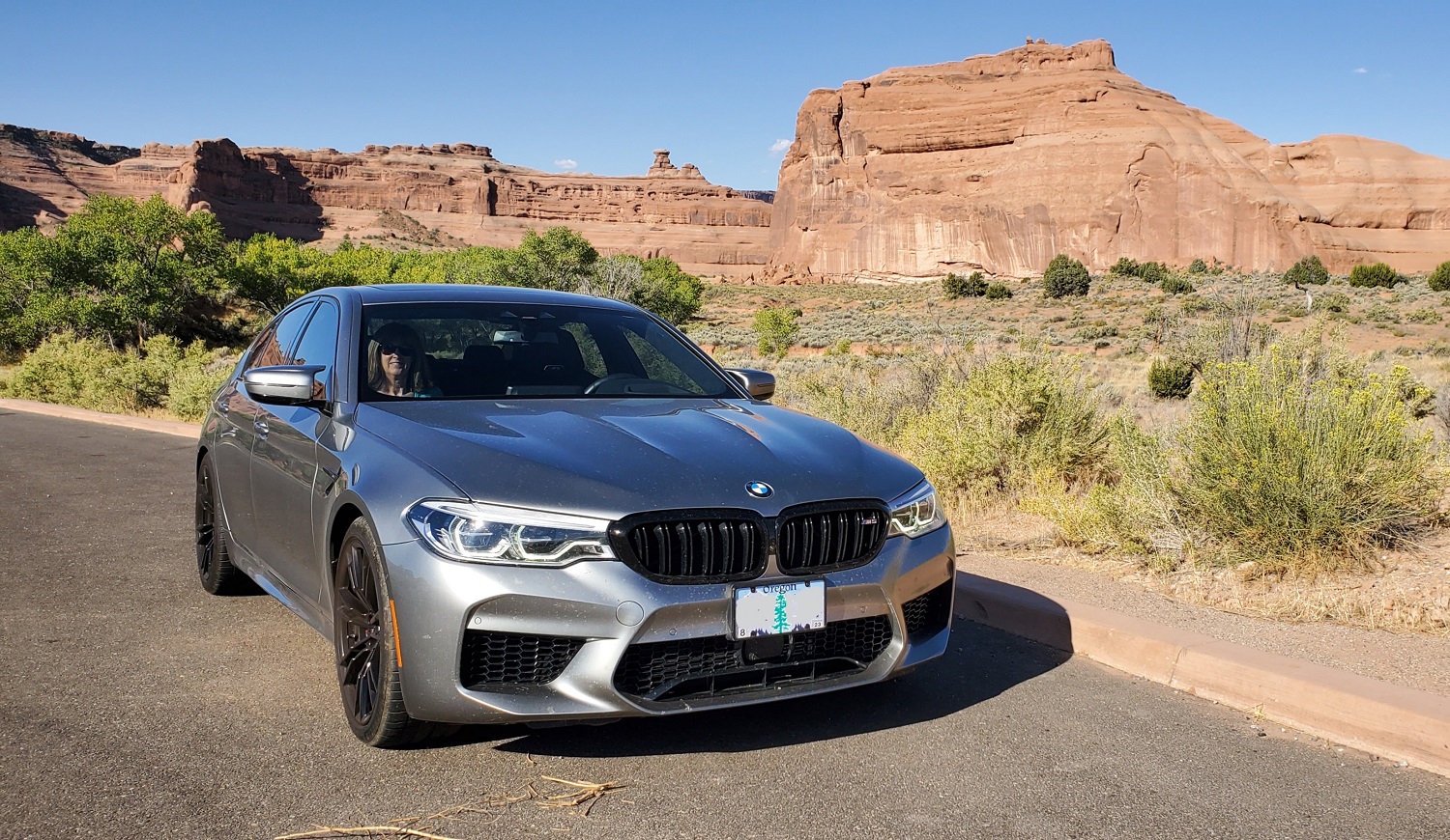 Name:  Car14 Bugs Arches NP 3.jpg
Views: 11857
Size:  633.8 KB